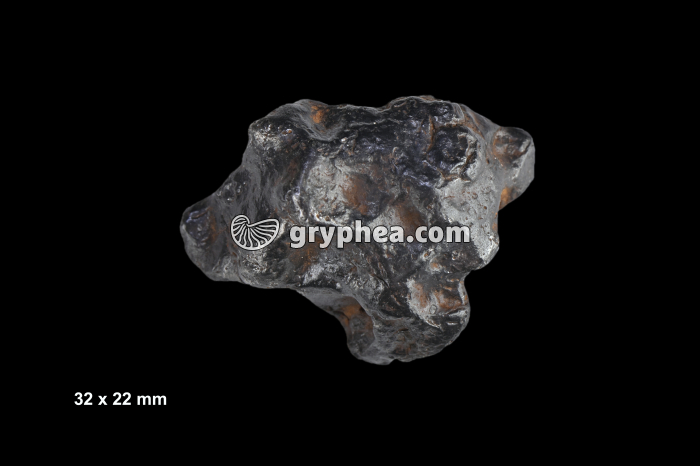 Météorite octahédrite (Canyon diablo, Barringer crater, Arizona, USA) - gryphea.org